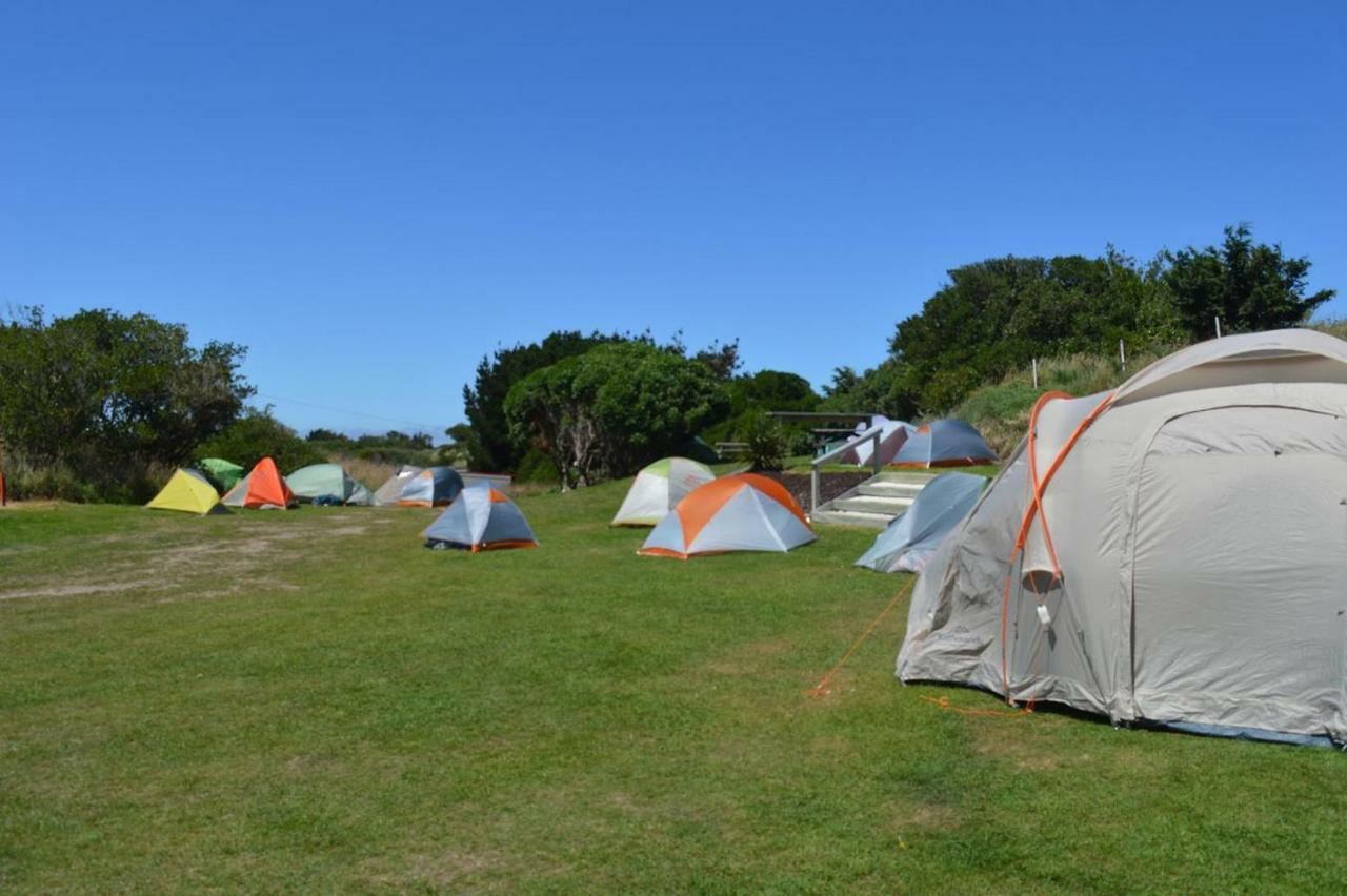 Dunedin Holiday Park Ngoại thất bức ảnh